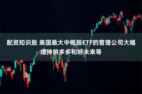 配资知识股 美国最大中概股ETF的管理公司大幅增持拼多多和好未来等